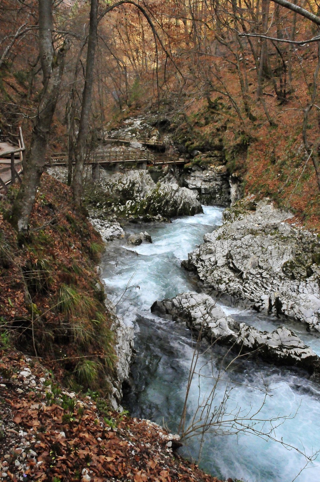 Wooden boardwalk beside the river in Vintgar Gorge